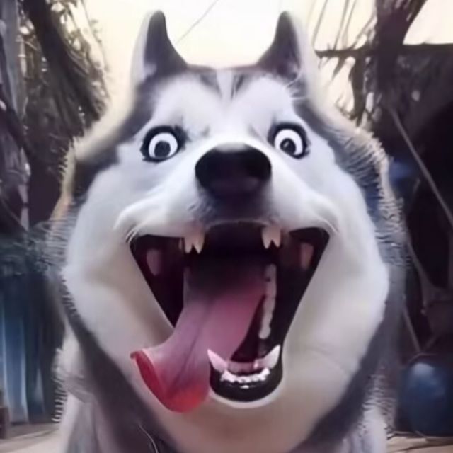 452173 ~~~活~~佛~~~
