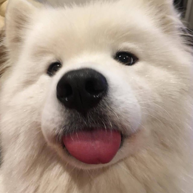 452451 ﹎〃真王℡
