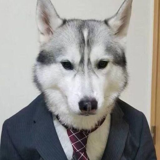 452939 *..逝去的青春。