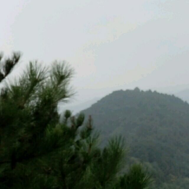 453239 幼稚的童年