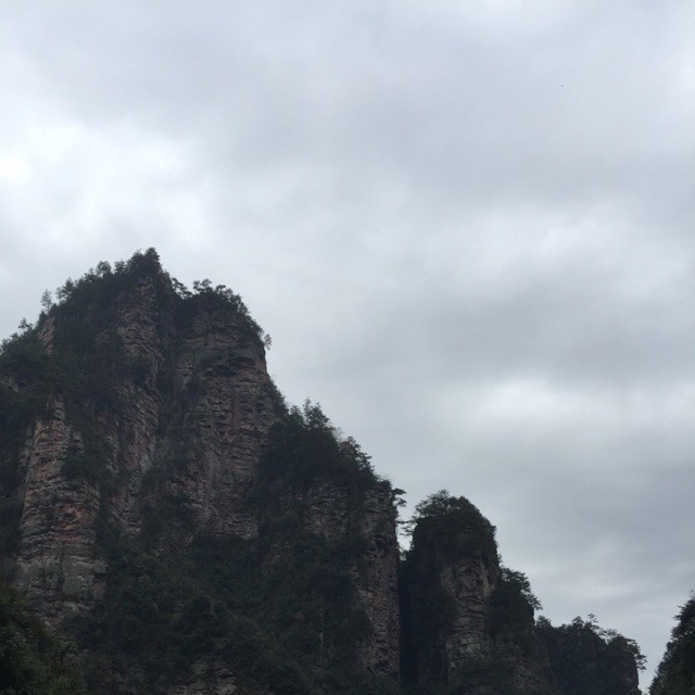 453446 何以笙箫默