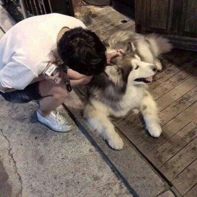 453510 鸣人