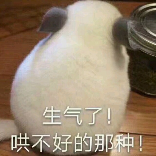 453901 猪猪书