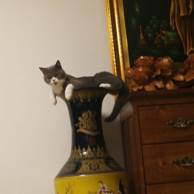 453913 信愿行