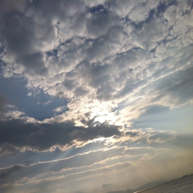 50004645 Rain