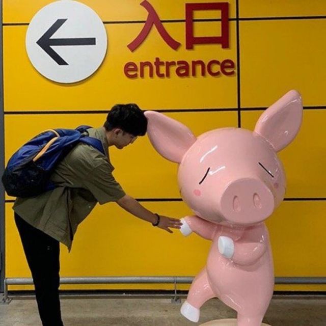 50004655 我本凡人