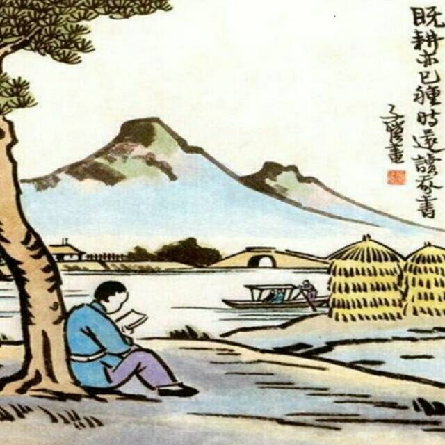 50004663 紫云豹