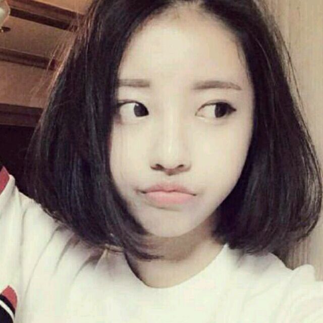 50004771 小鱼儿