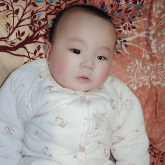 50004963 不悲不喜