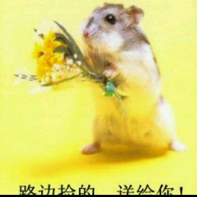 545890356 爱谁买单