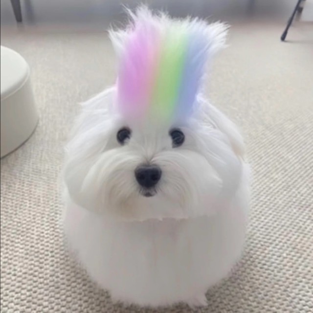 546932 如风一样