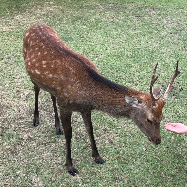 547488 皮痒痒