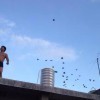 548291 寒江孤影