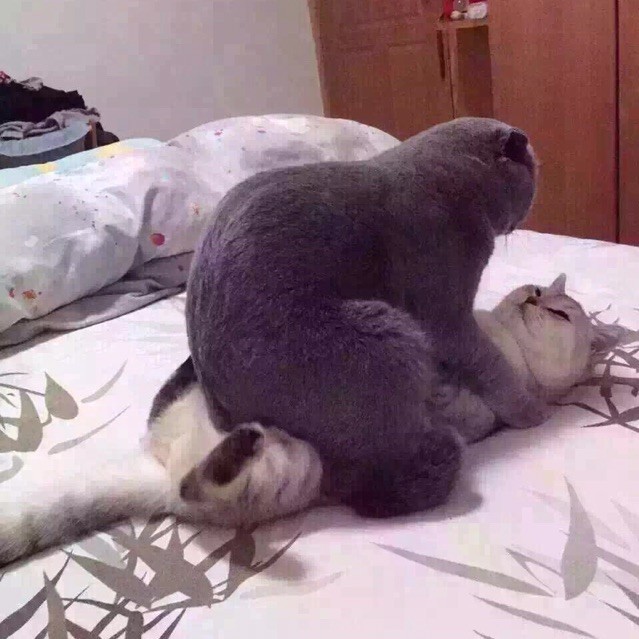 549297 感觉有点方