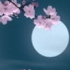 549338 寒月