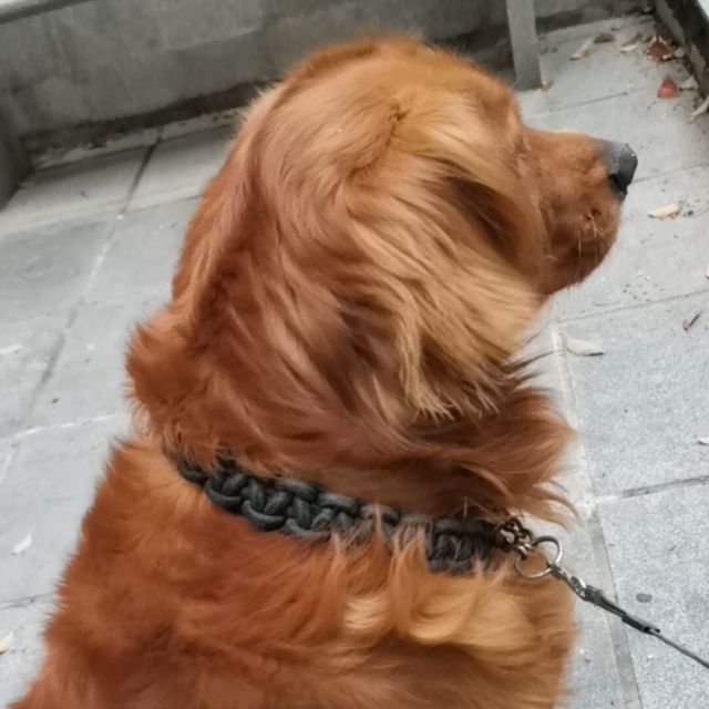 550136 米斯特莊