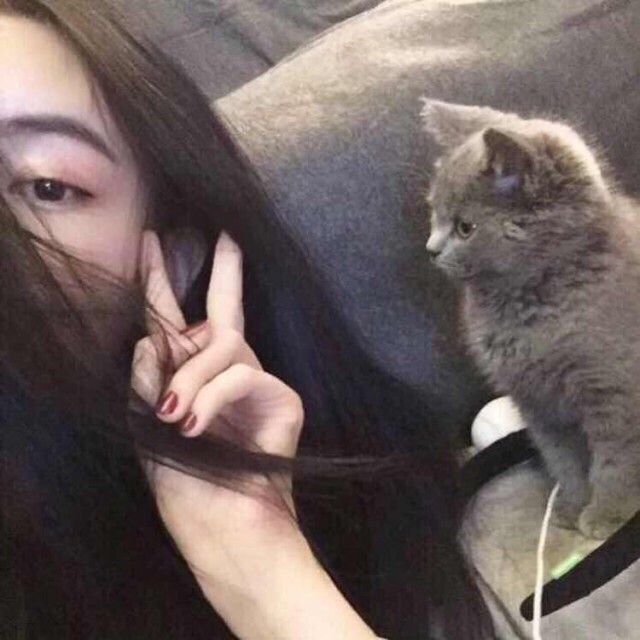 550210 韩舒