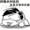 550746  ruguomeiyouni