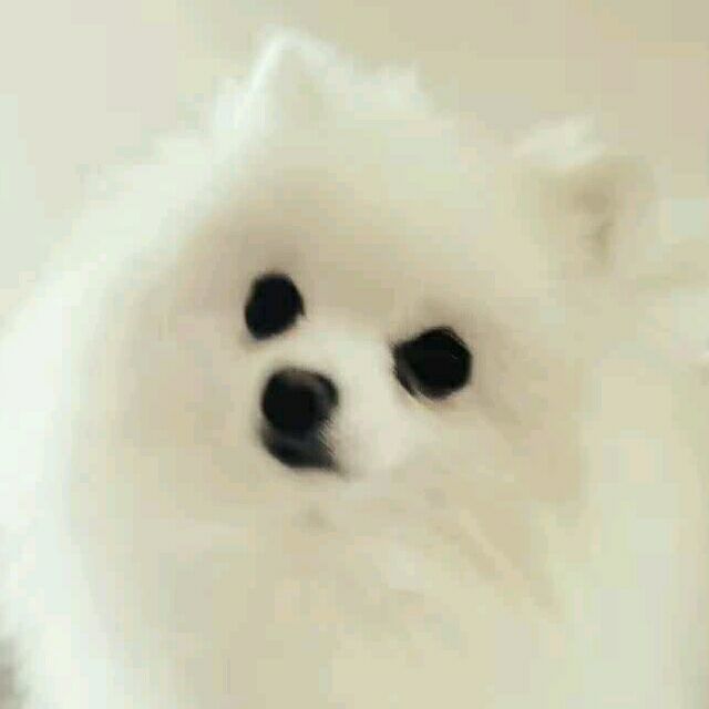 551181 