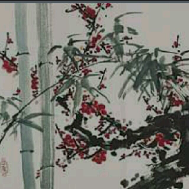 551222 南竹