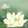 551326 ╰＇ loong