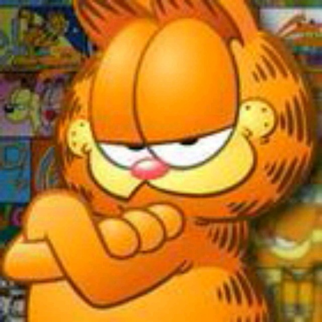 551430 garfield