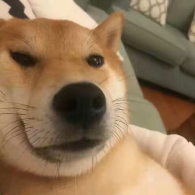 552585 六千里