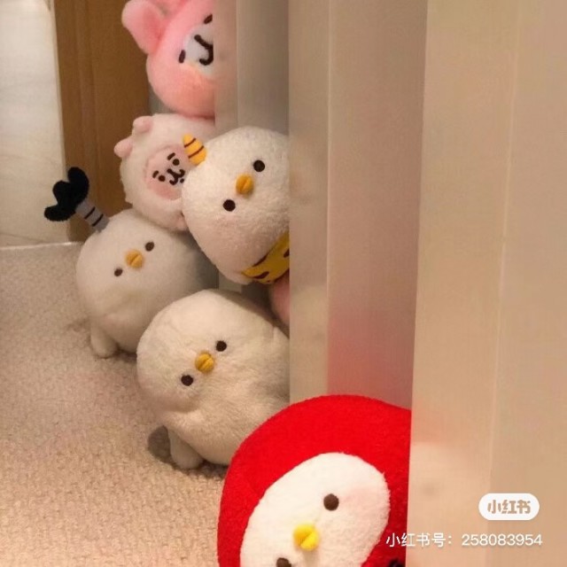 552603 __、小楊