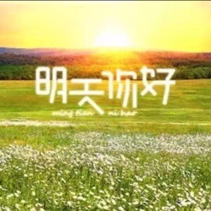 552866 美度设计