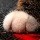 553249 咖花猫