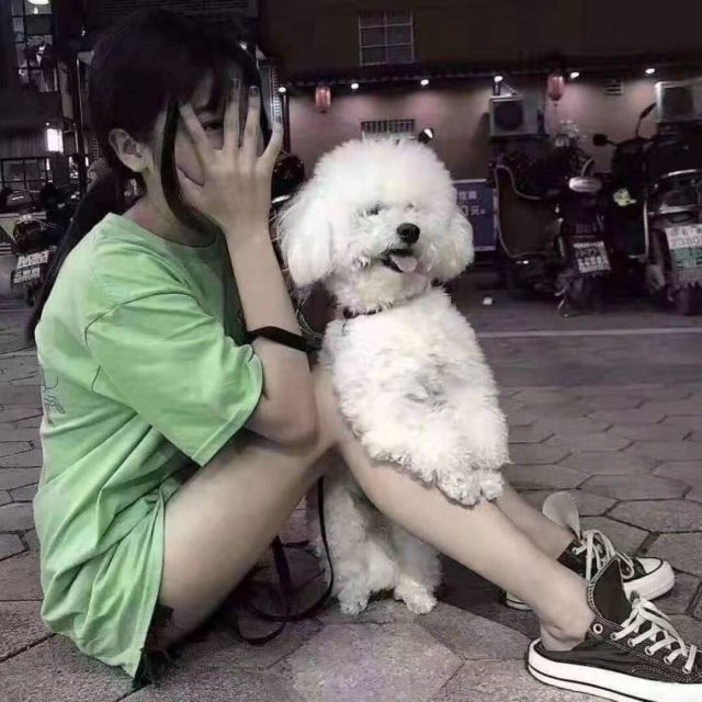 553368 蔷薇