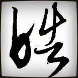 555002 +皓