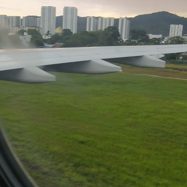 555015 XLF