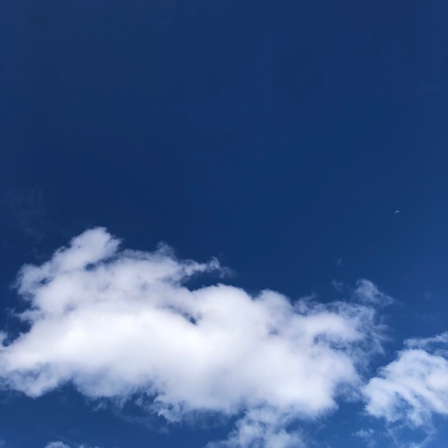 555520 探索者