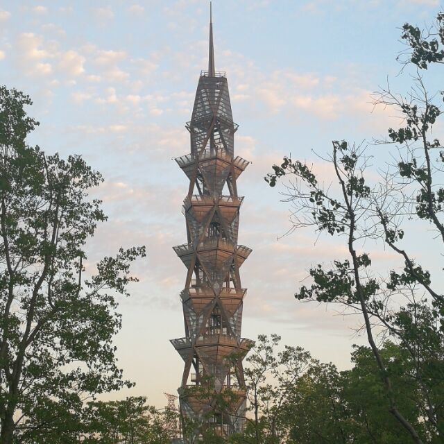 555996 老蒋