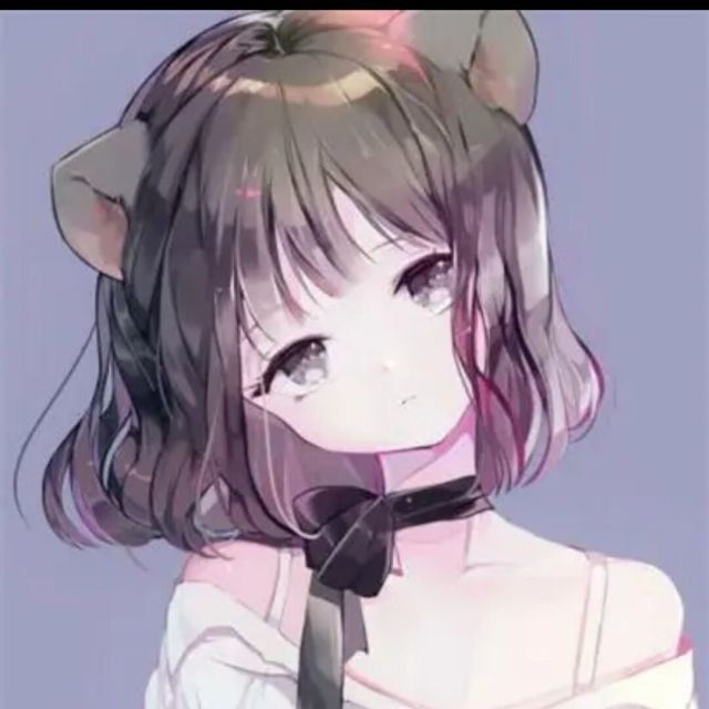 556016 飞檐走壁的猫╮