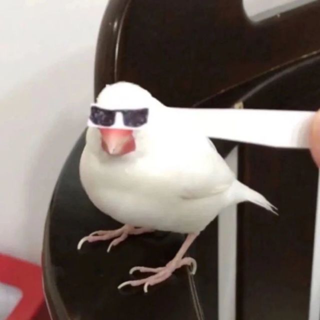 556057 游神