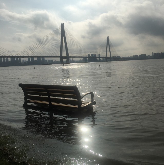 556177 海之愿景...