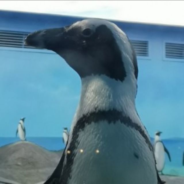 556774 从小就很倔