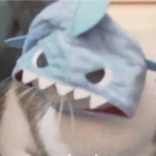 556776 玥