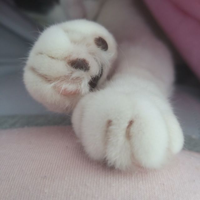 558016  低调的奢华