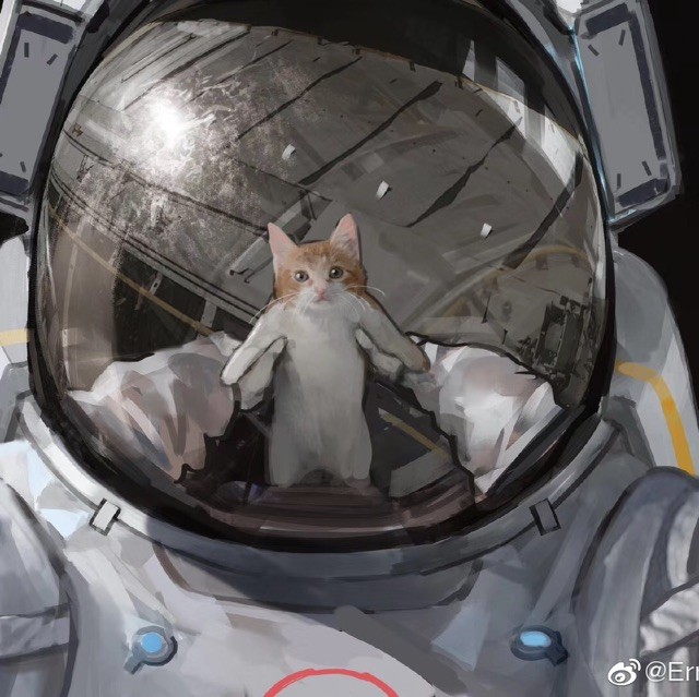 558335 青云