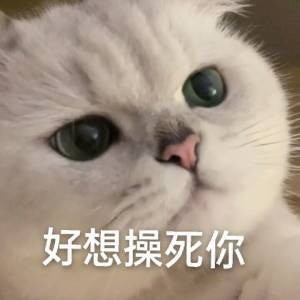 558466 许