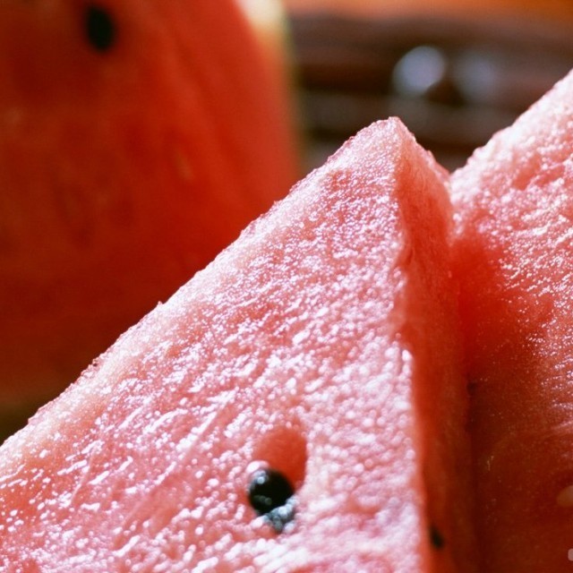568072 WATERMELON.X