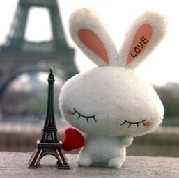 568156 Bunny