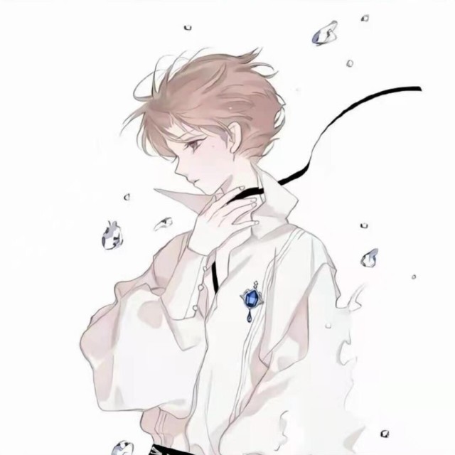 568597 熊熊熊
