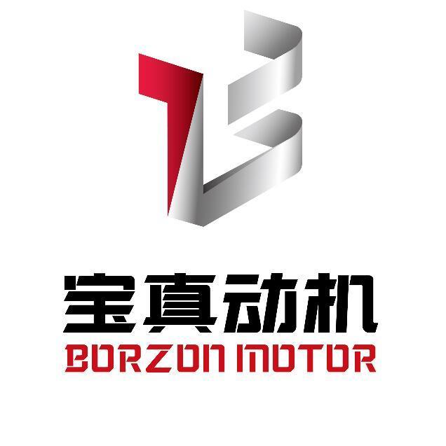 568610 Borzon Motor
