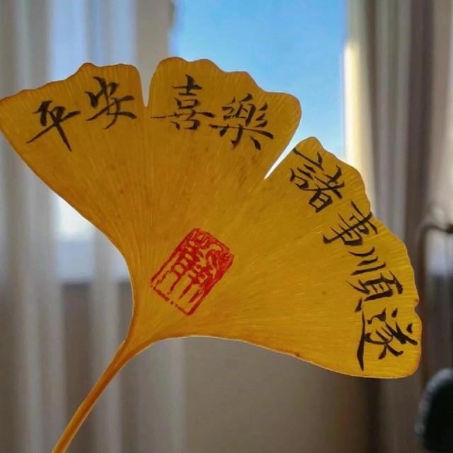 574731 ~默默~