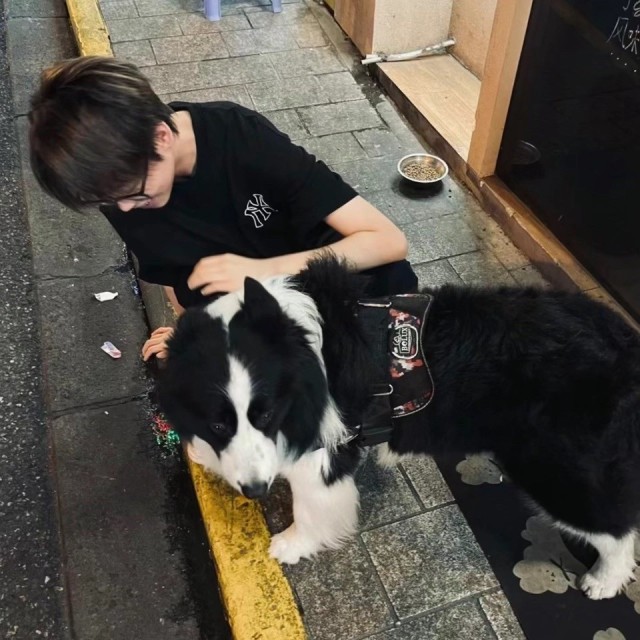 574922 ！前卫的典范