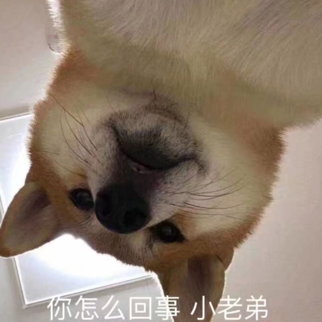 575459 C